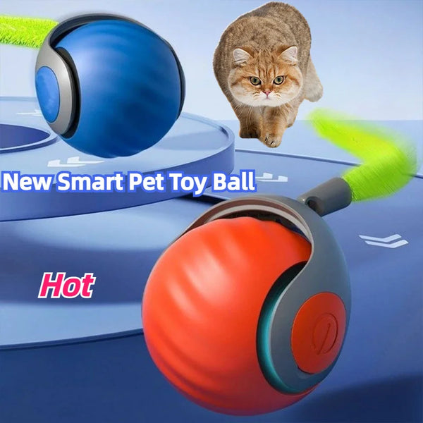Magic Paws StarkBall™ - Buy 1 Get 1 Free
